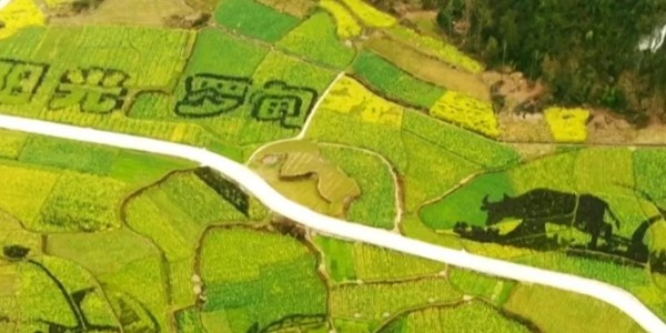 土地的涅槃｜全域土地綜合整治為何爆火？設(shè)計(jì)院如何搶占風(fēng)口？