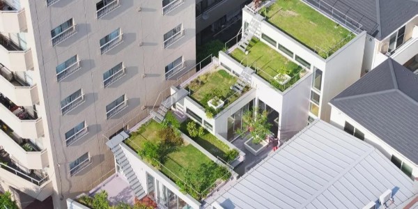 創(chuàng)造‘綠色’，東京層疊花園宅 / MAMM DESIGN