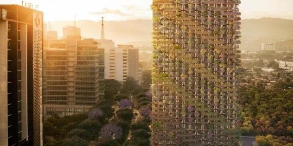 這才叫綠色建筑！用木頭代替鋼筋水泥，30000多植物栽在陽臺！